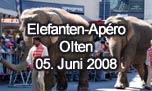 05.07.2008
Elefanten-Apro Olten